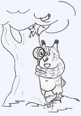 hibou.jpg